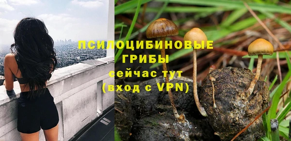 spice Осинники