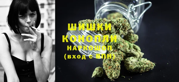 spice Осинники