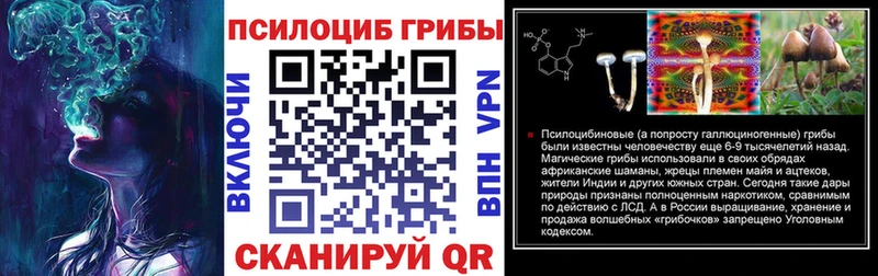 мориарти клад Андреаполь Псилоцибиновые грибы ЛСД blacksprut зеркало